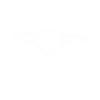 skyexpresswhite_logo