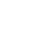 virtus_logo